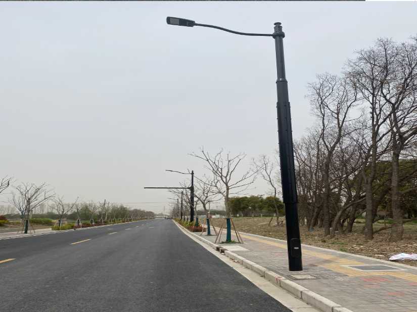 大庆市上海综合杆 太阳能路灯工程